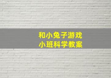 和小兔子游戏 小班科学教案